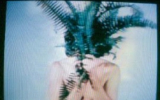 Dennis Oppenheim · “Compression Fern” (1970) screening and action