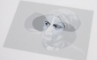 Dennis McNulty · The Eyes of Ayn Rand